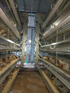 层叠式自动蛋鸡养殖系统
